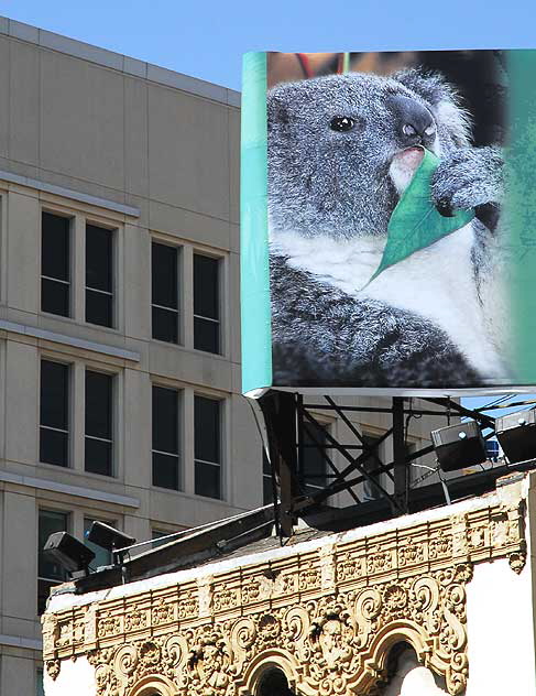 Billboard for the Los Angeles Zoo, Hollywood Boulevard