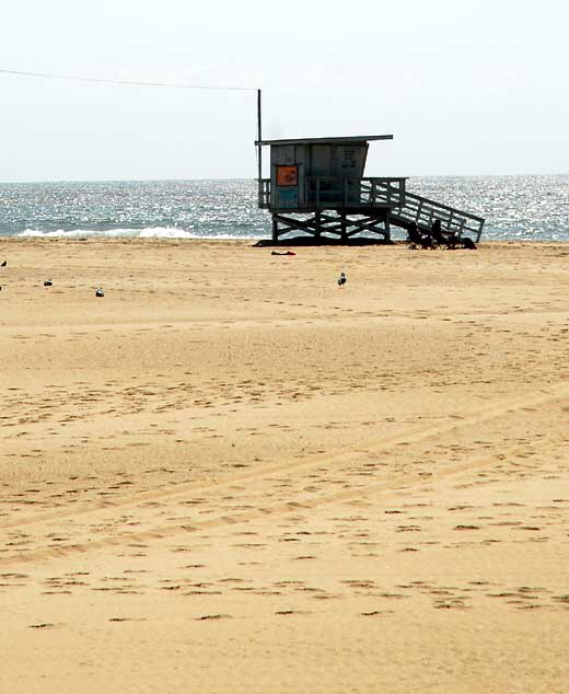 Venice Beach, October