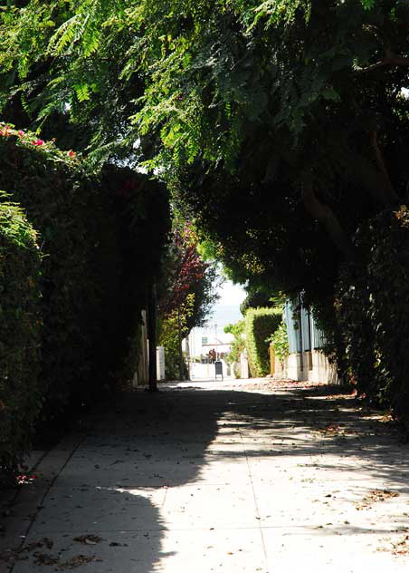 A "walk street" in Venice Beach
