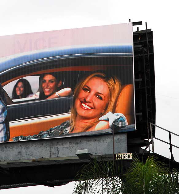 Roar Clothing billboard, Hollywood 