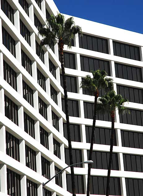 Three Palms and Geometric White Wall - Wilshire Boulevard