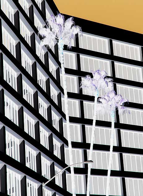 Three Palms and Geometric White Wall - Wilshire Boulevard