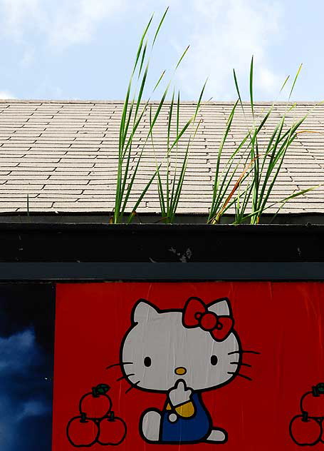 Three Apples, Hello Kitty poster, Melrose Avenue