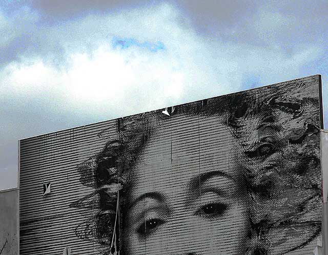 Tattered Marilyn Monroe graphic, Melrose Avenue