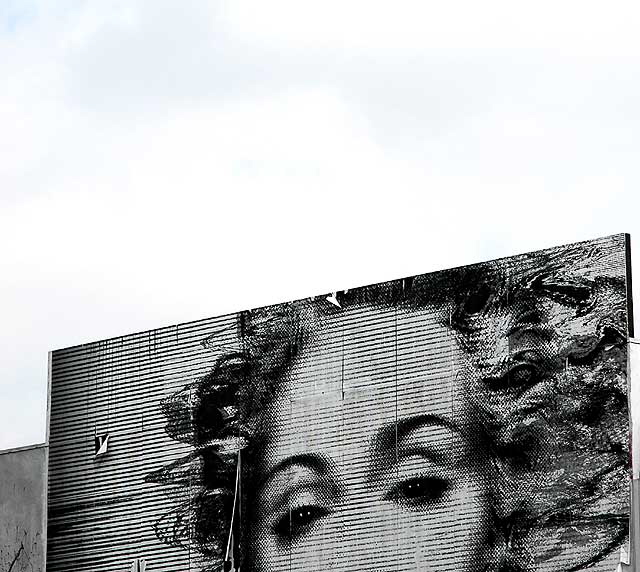 Tattered Marilyn Monroe graphic, Melrose Avenue