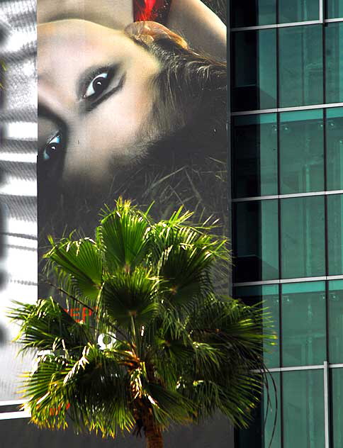 Supergraphic for the Vampire Diaries on glass skyscraper, Sunset and Vine, Hollywood