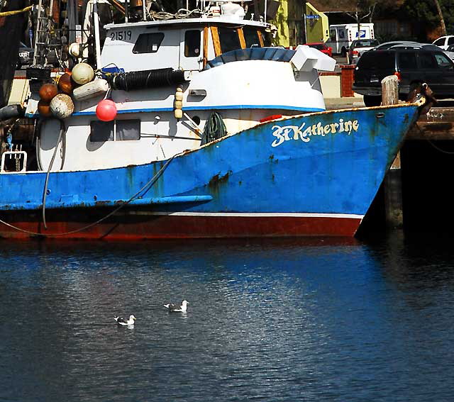 The commercial fishing fleet docks in San Pedro
