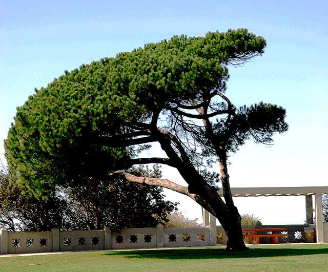 At Point Fermin Park, San Pedro, California