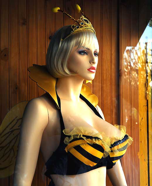 Bee Gal, shop window, Hollywood Boulevard 