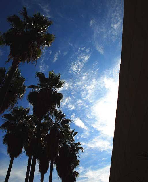 Odd light on a November Monday in Hollywood - The Egyptian Theater 