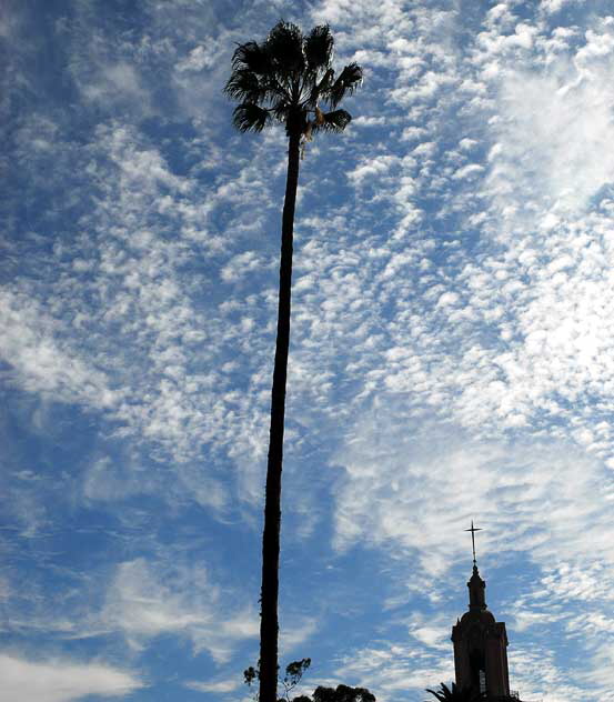 Odd light on a November Monday in Hollywood - Church of the Blessed Sacrament, seen from Las Palmas 