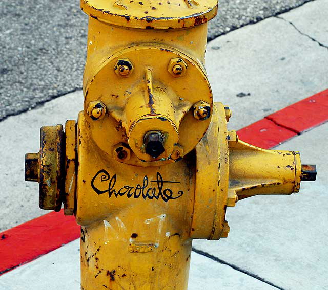 Yellow Fire Hydrant, Red Curb - "Chocolate"