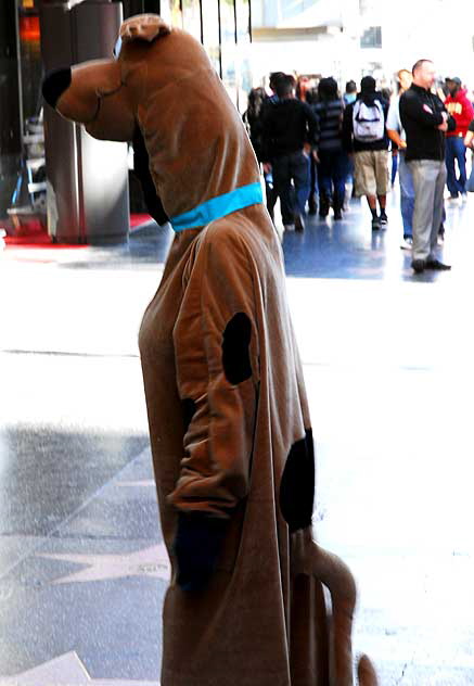 Scooby Doo impersonator, Hollywood Boulevard 