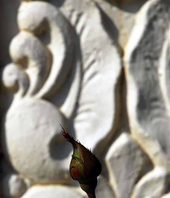 Bud and Art Deco Wall, Beverly Gardens Park, Beverly Hills
