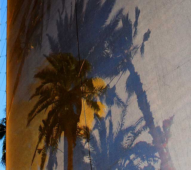 Palm Scrim, Los Angeles County Museum of Art (LACMA) on Wilshire Boulevard