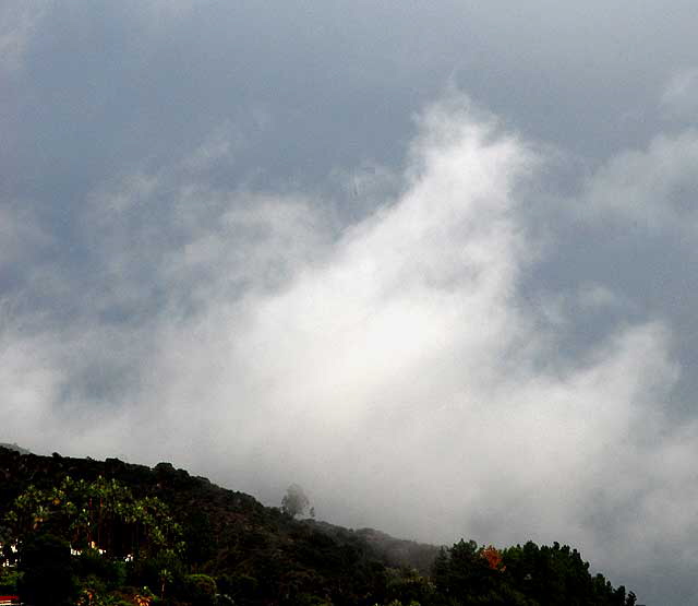 Low clouds in the Hollywood Hills