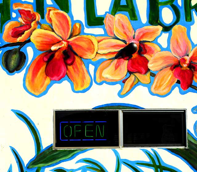 Painted Flower Wall, medical marijuana dispensary, North La Brea at Waring 