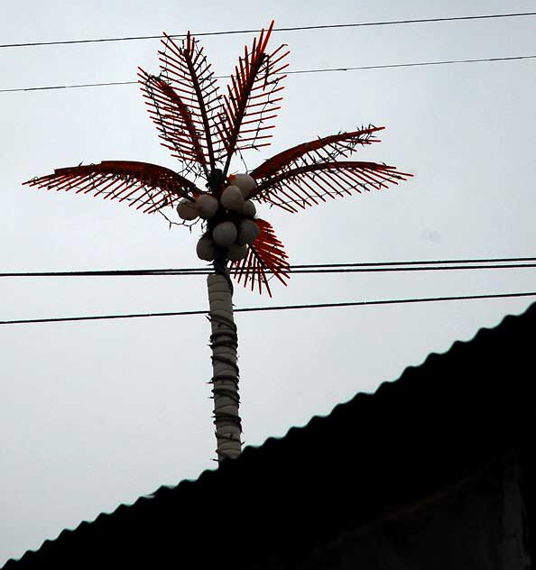 Fake palm tree at Rain Forest, the combination pizza shop and hookah bar on Sunset Boulevard in Hollywood