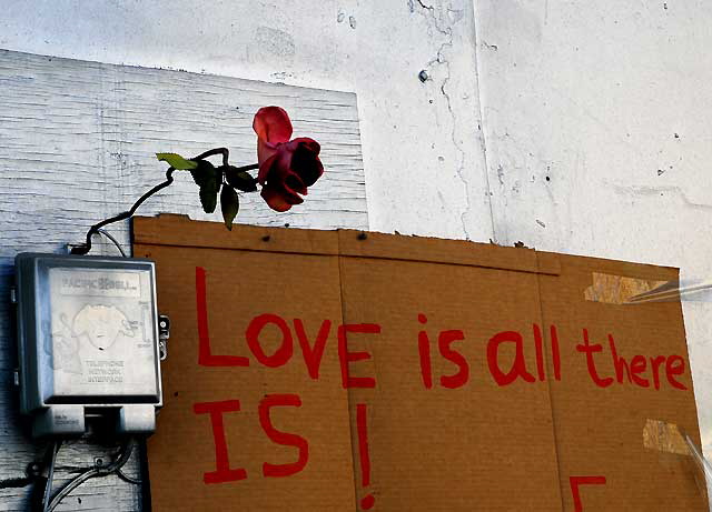 Love Is - corner of a local alley where the businesses leave stuff for all takers