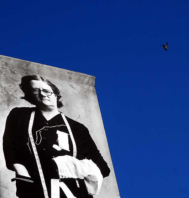 Seamstress Banner with Bird in Flight