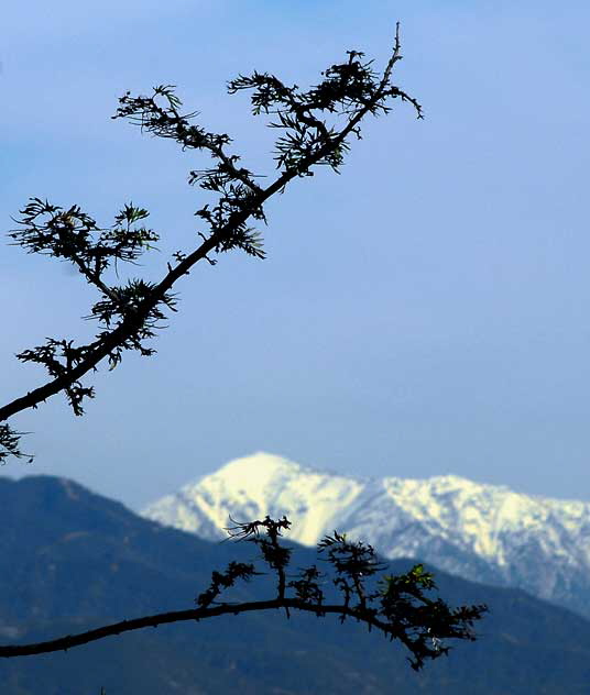 Snow-covered Mountains - view from the Griffith Park Observatory above Hollywood - Friday, December 18, 2009
