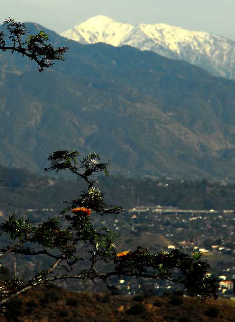 Snow-covered Mountains - view from the Griffith Park Observatory above Hollywood - Friday, December 18, 2009
