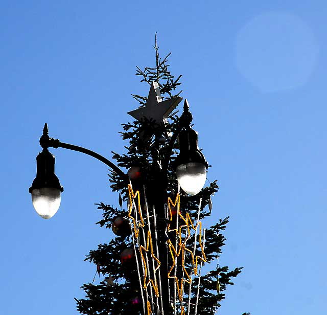 Christmas stars at the old Christie Hotel on Hollywood Boulevard