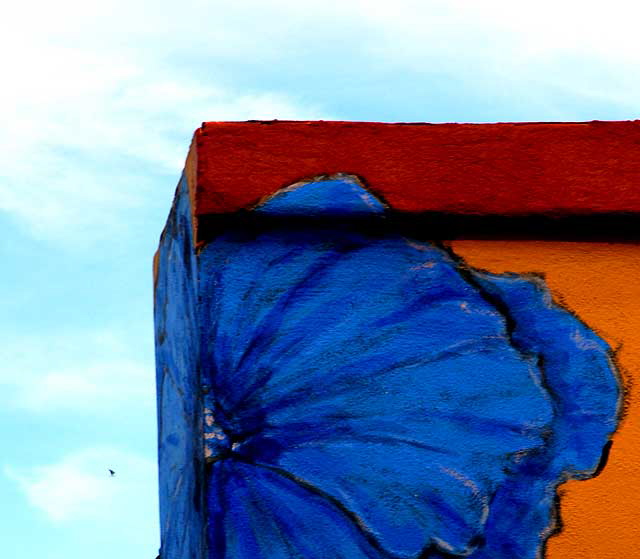 Blue Flower Painted on Stucco Wall, Venice Beach