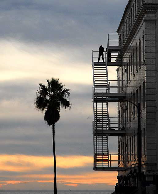 Venice Beach Street, New Year's Day 2010