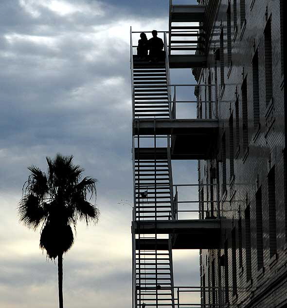 Venice Beach Street, New Year's Day 2010