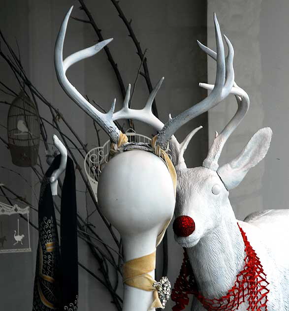 Reindeer in Shop Window, Beverly Boulevard at Martel, West Los Angeles