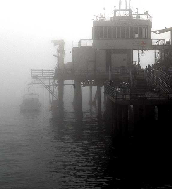 Fog at the Santa Monica Pier, mid-afternoon, Thursday, January 7, 2010