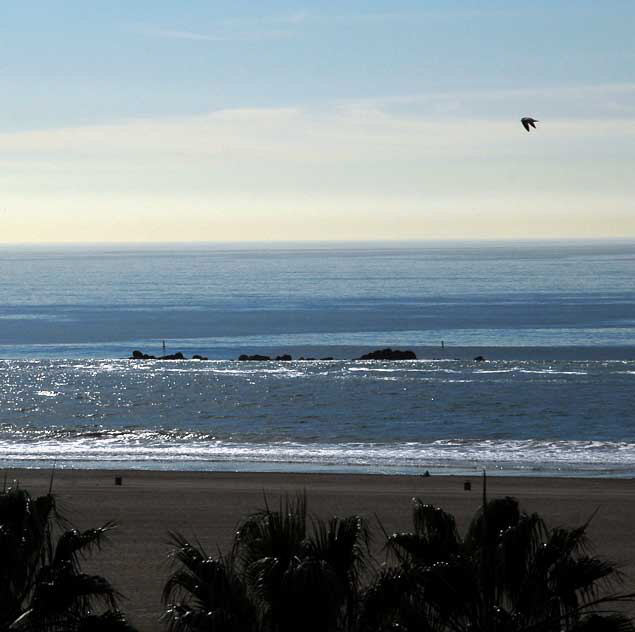 The beach at Santa Monica as seen from Pacific Palisades Park, Ocean Avenue and Wilshire, on Monday, January 11, 2010