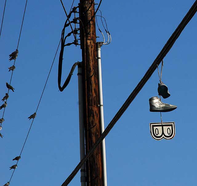 Sneakers and Eye on a Wire, Fairfax Avenue, Los Angeles