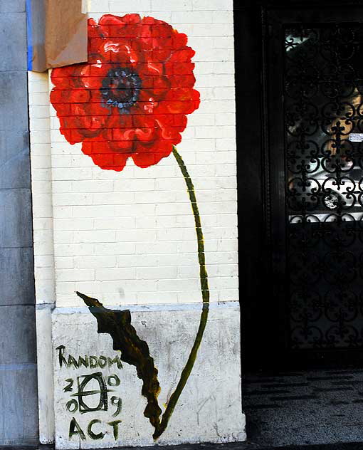Painted Poppy, Hollywood Boulevard