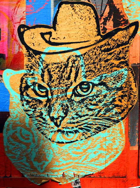 Double Hat Cat