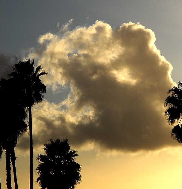 From the front door, looking west over Century City (the old Fox Studios back lot) - 