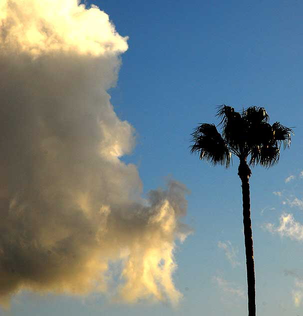 From the front door, looking west over Century City (the old Fox Studios back lot) - 