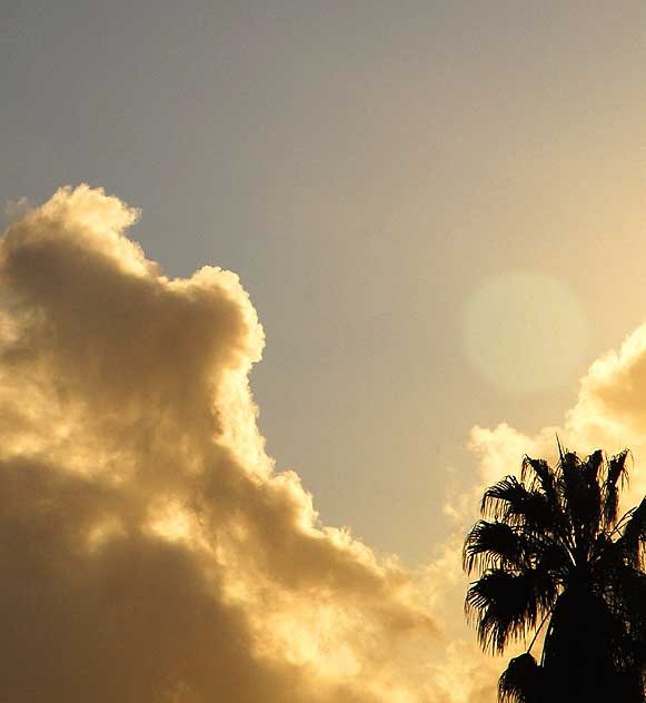 From the front door, looking west over Century City (the old Fox Studios back lot) - 