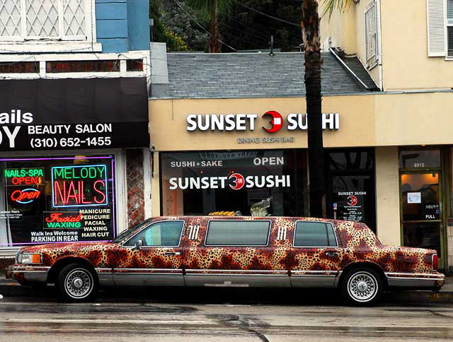 Leopard Limo at Sunset Sushi 