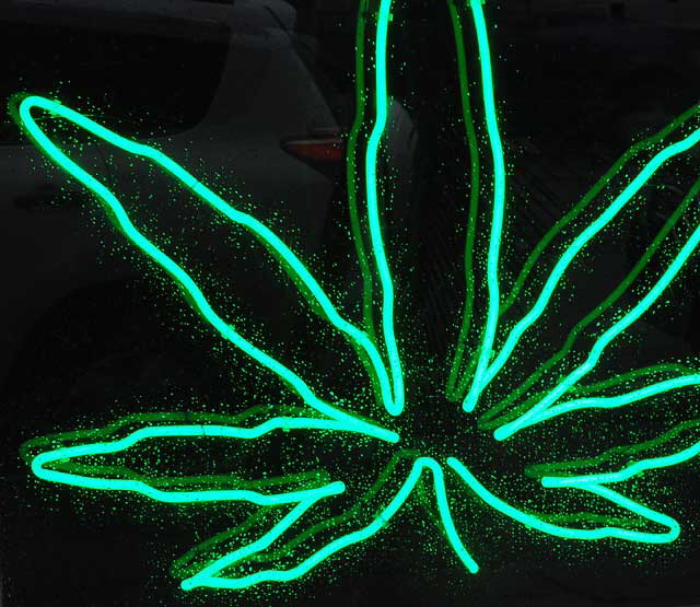 Neon Marijuana Leaf at medical marijuana dispensary on the Sunset Strip