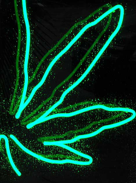 Neon Marijuana Leaf at medical marijuana dispensary on the Sunset Strip