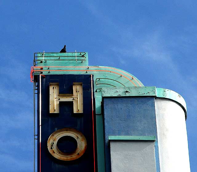 Pigeon on neon, Hollywood Boulevard