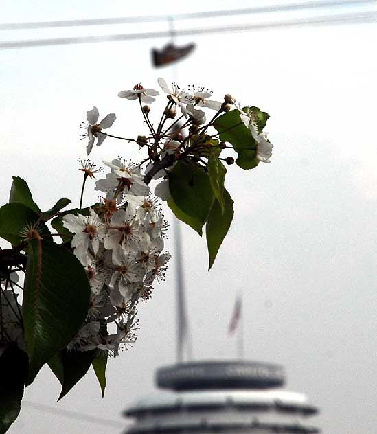 The Capitol Records Building, Hollywood