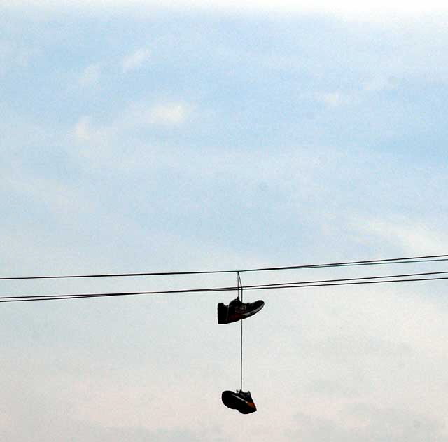 Sneakers on Wire, Hollywood Sneakers on Wire, Hollywood