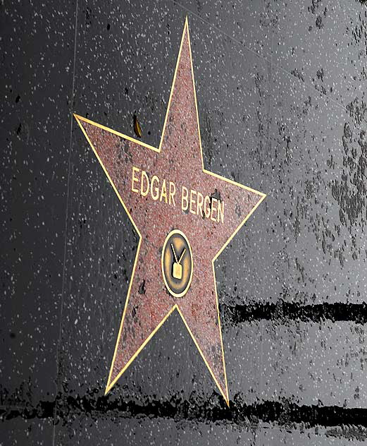 Edgar Bergen star on the Walk of Fame, Hollywood Boulevard