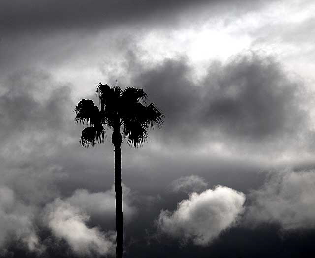 1606 North Laurel Avenue, Los Angeles (Hollywood), Tuesday, February 9, 2010