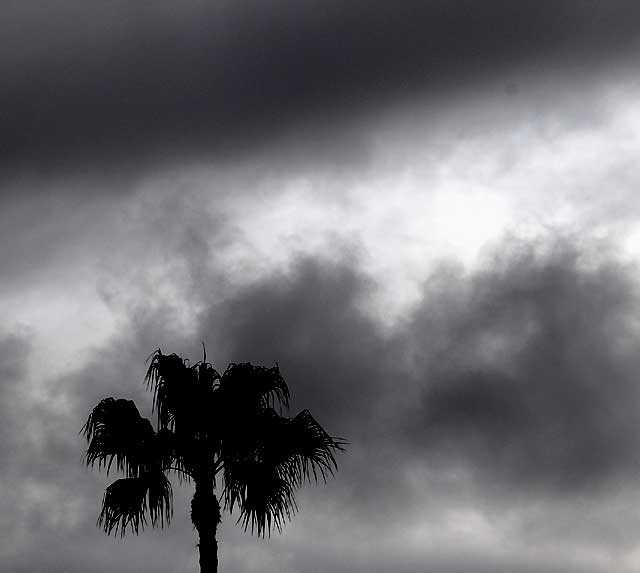 1606 North Laurel Avenue, Los Angeles (Hollywood), Tuesday, February 9, 2010