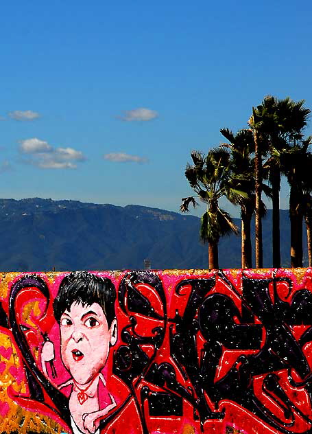 The Graffiti Wall in Venice Beach 
