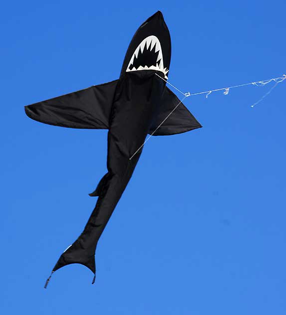 Shark Kite, Venice Beach